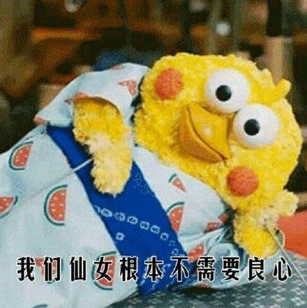 这套鹦鹉兄弟表情包火了！“你的良心不会痛吗”怼人斗图超好用
