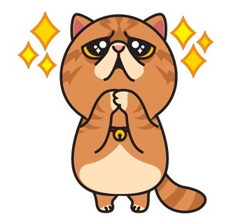 软萌胖胖猫咪表情包合集来啦