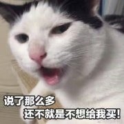 戳中撒娇党！这款“我要这个你买”猫猫表情包火了