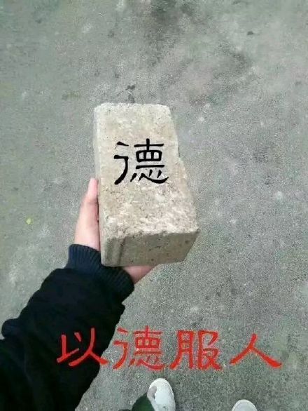 8月24日斗图表情包精选合集