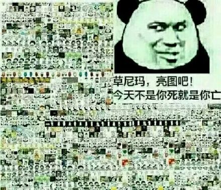 斗图党集合！这套金馆长熊猫表情包直接封神
