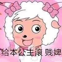 1月1日斗图表情包精选合集