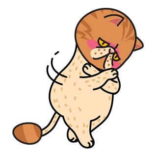 软萌胖胖猫咪表情包合集来啦