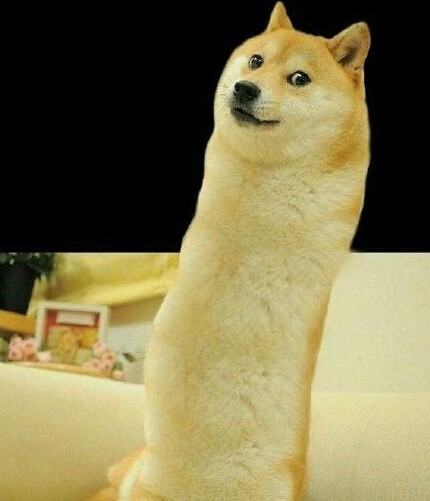 聊天斗图必备！无处不在的Doge表情包合集