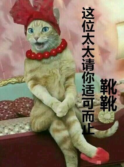 8月19日热门表情包原图合集