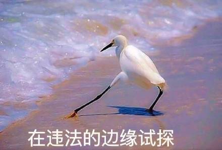 最近超火的斗图表情包整理好了