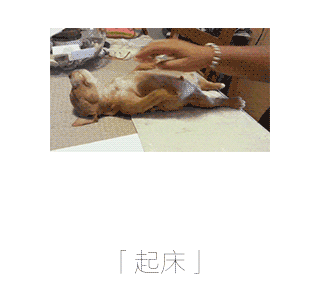 打工人必看！全套上班状态表情包，最后一张狠狠共情了