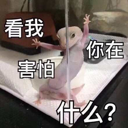 底的热门无水印表情包合集来啦