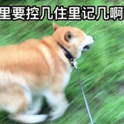 14张可爱又沙雕的情侣头像 高清无水印直接用