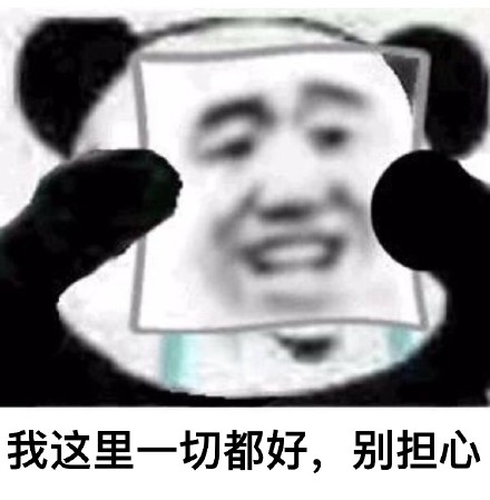 熊猫头戴假面具掩饰系列斗图表情包