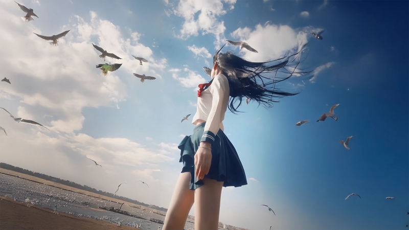 海边女生配海鸥蓝天的动漫电脑壁纸推荐