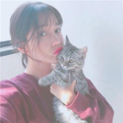 微信情侣头像上新！12张一对款直接抱走