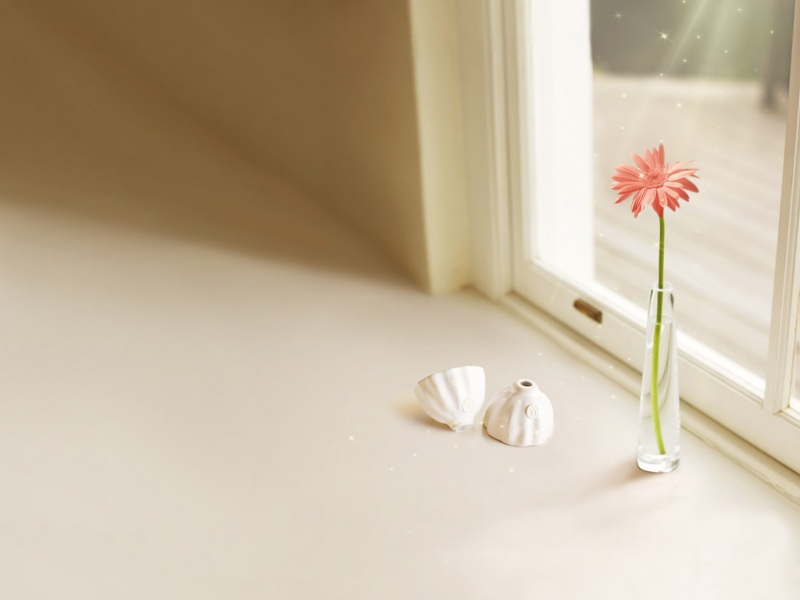 静谧清新的花卉电脑桌面壁纸 高清可选多尺寸