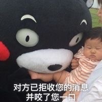 聊天被拒收消息？这套熊本熊表情包太扎心了