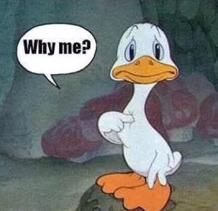 9月16日斗图表情包合集