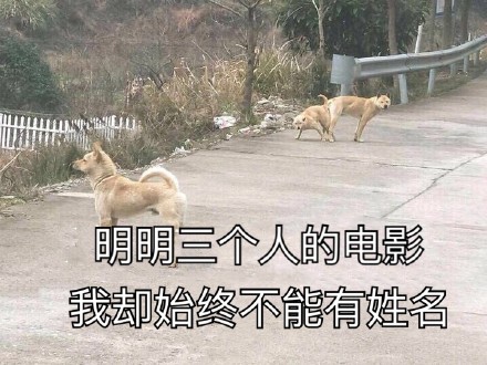 10月26日斗图表情包精选合集