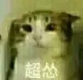 网友整理的宠物斗图表情包合集