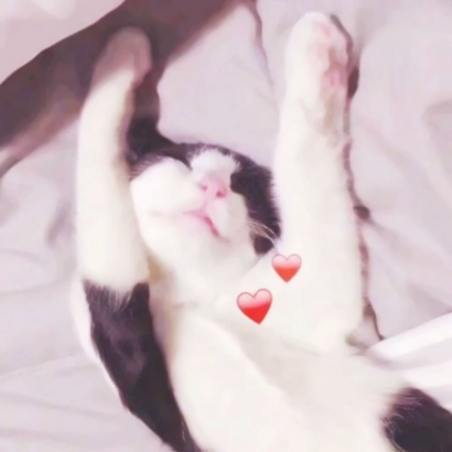 沙雕情侣头像合集 高清搞怪情头10张分享