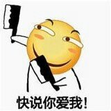 超萌仓鼠表情包合集，聊天斗图必备