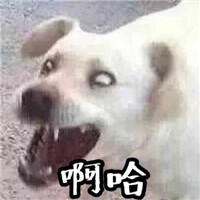 娘子啊哈搞笑情侣头像！14张超有意思的情头合集