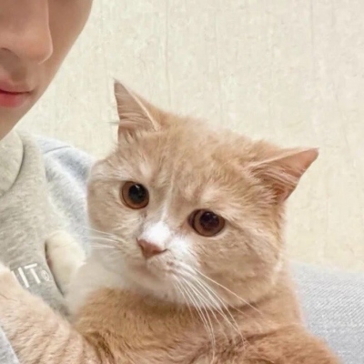 “女友不是人”系列情侣头像 高清16张合集