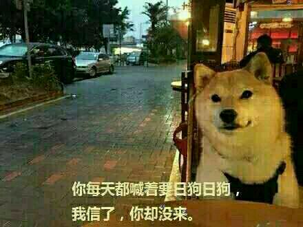 你每天喊着要“日狗”，我当真了，结果你人没来