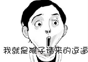 重要的事说三遍！你是猴子请来的逗逼吗？