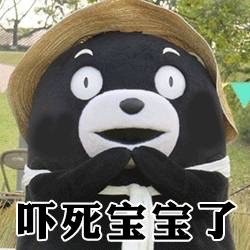 熊本熊发出“请问可以看下你的胖次吗？”的趣味提问