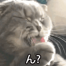 火出圈的“你怎么回事，老弟”表情包合集来了