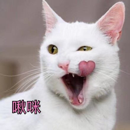 聊天斗图不用愁！这份热门精选表情包收好啦