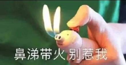 整理好的斗图表情包合集，聊天再也不怕没图怼人