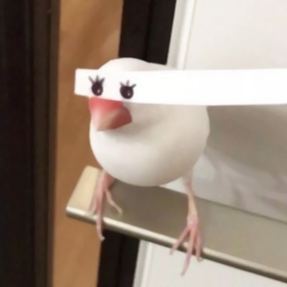 8组沙雕又搞笑的情侣头像 高清无水印赶紧来存