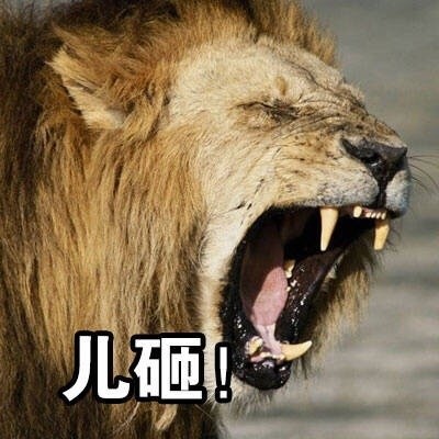 快艾特你的“儿砸”来用这套表情包