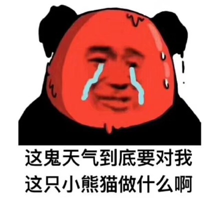 5月17日热门表情包原图合集来了