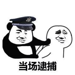 现在斗图都用「当场逮捕」表情包了？
