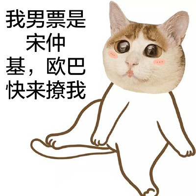 猫头宋仲基可爱表情包合集