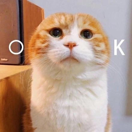 整理一下，先严格按要求来：