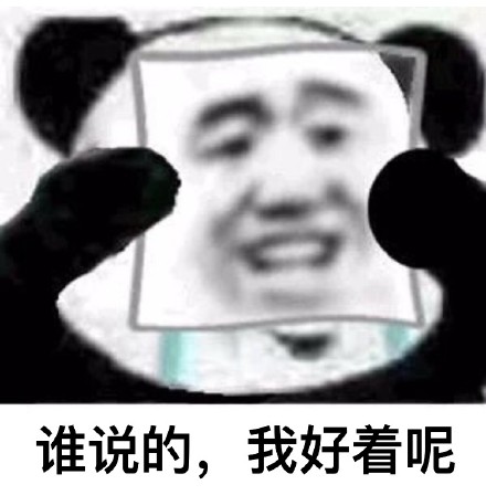 熊猫头戴假面具掩饰系列斗图表情包