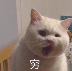 10月21日热门表情包合集来啦