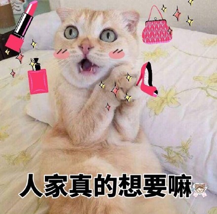 4月8日斗图表情包原图合集