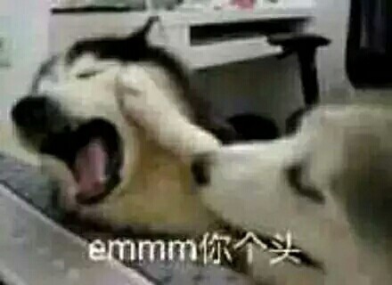 网友整理的宠物斗图表情包合集