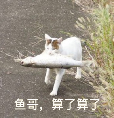 “XX哥，算了算了” 这套表情包火了