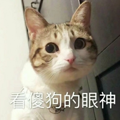 22组超可爱搞怪萌宠情头！一对两张高清图直接抱走