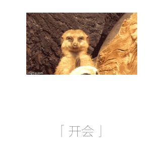打工人必看！全套上班状态表情包，最后一张狠狠共情了