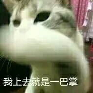 网友整理的宠物斗图表情包合集