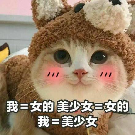 超实用斗图表情合集整理好了，速存