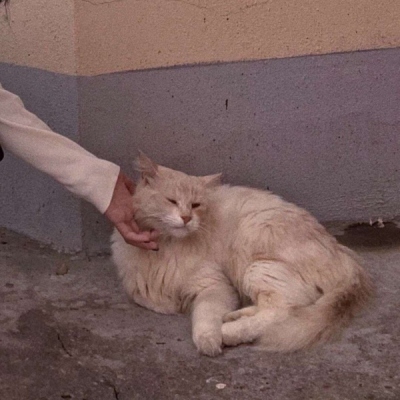 20组适合微信用的浪漫双人情侣头像合集