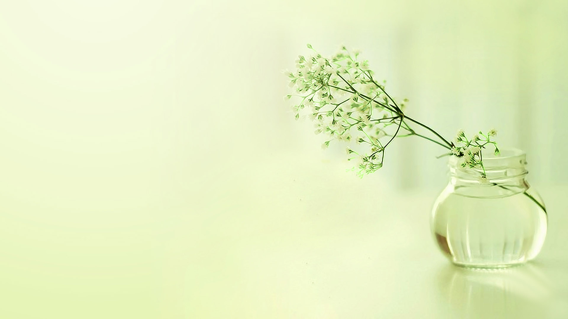 氛围感拉满！清新淡雅花卉电脑桌面壁纸合集