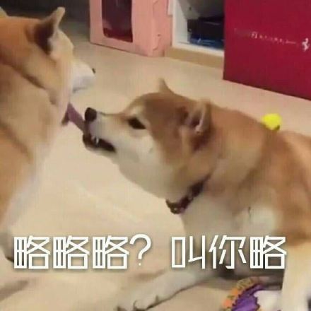聊天斗图必备！这款略略略表情包系列太好用了