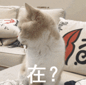 8月9日斗图表情包精选合集